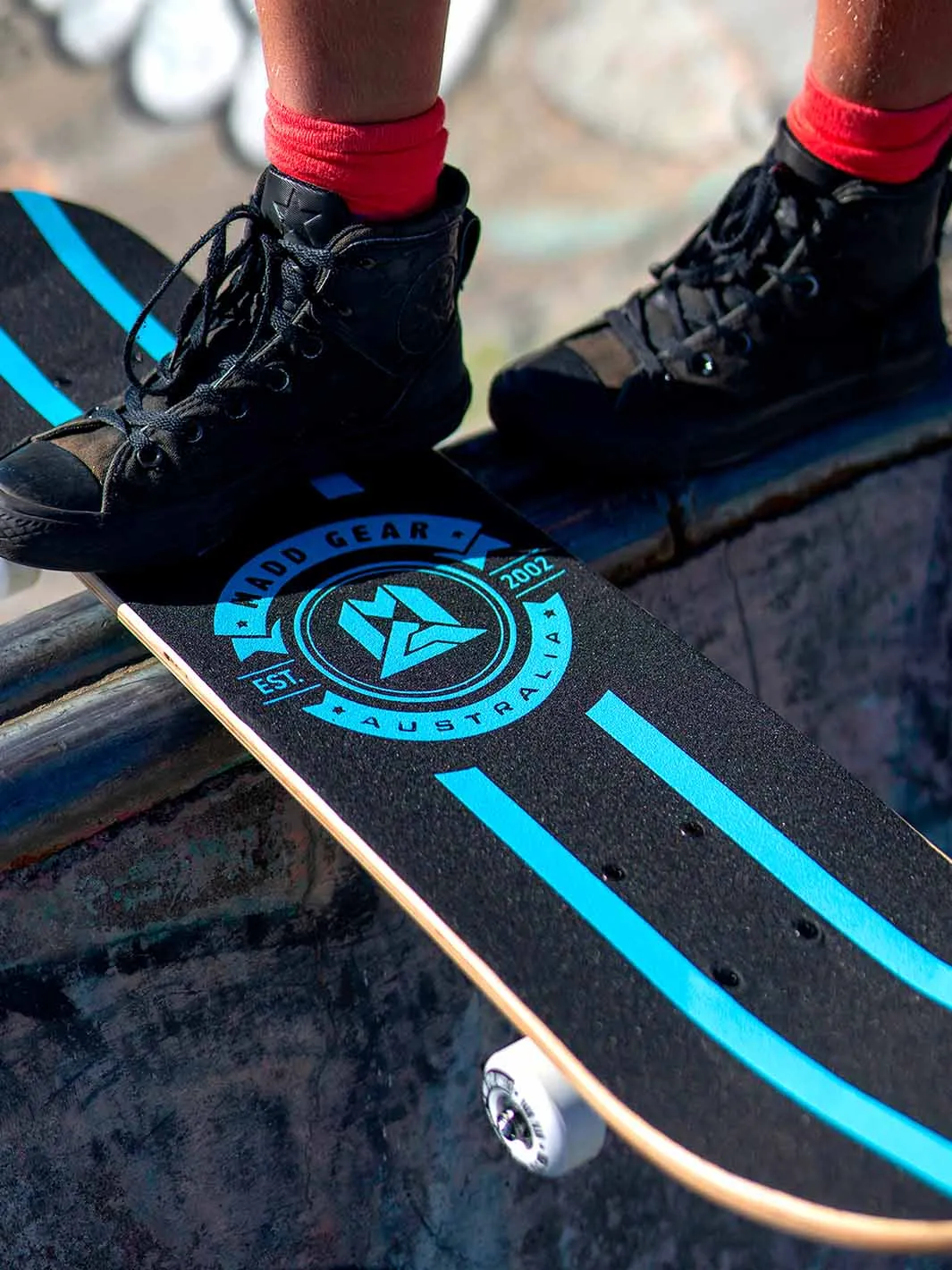 Madd Gear LTR Zootoxin skateboard 31 tum nybörjar