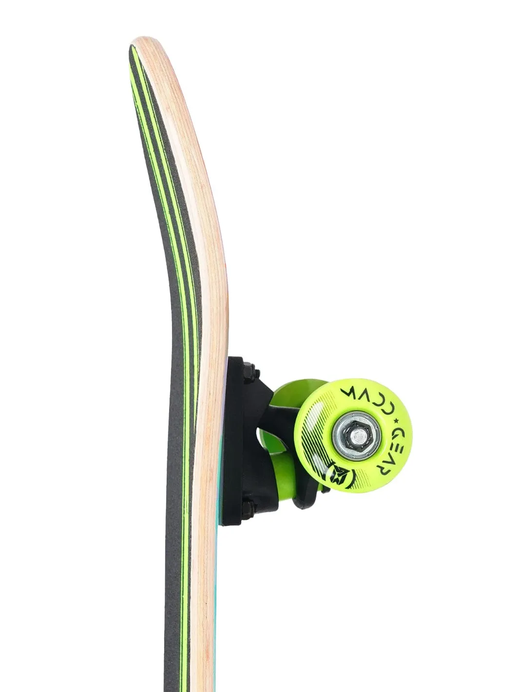 MGP LTR skateboard Rex 31 tum nybörjare