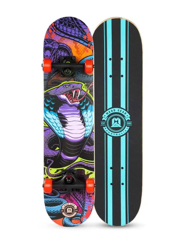 Madd Gear LTR Zootoxin skateboard 31 tum nybörjar