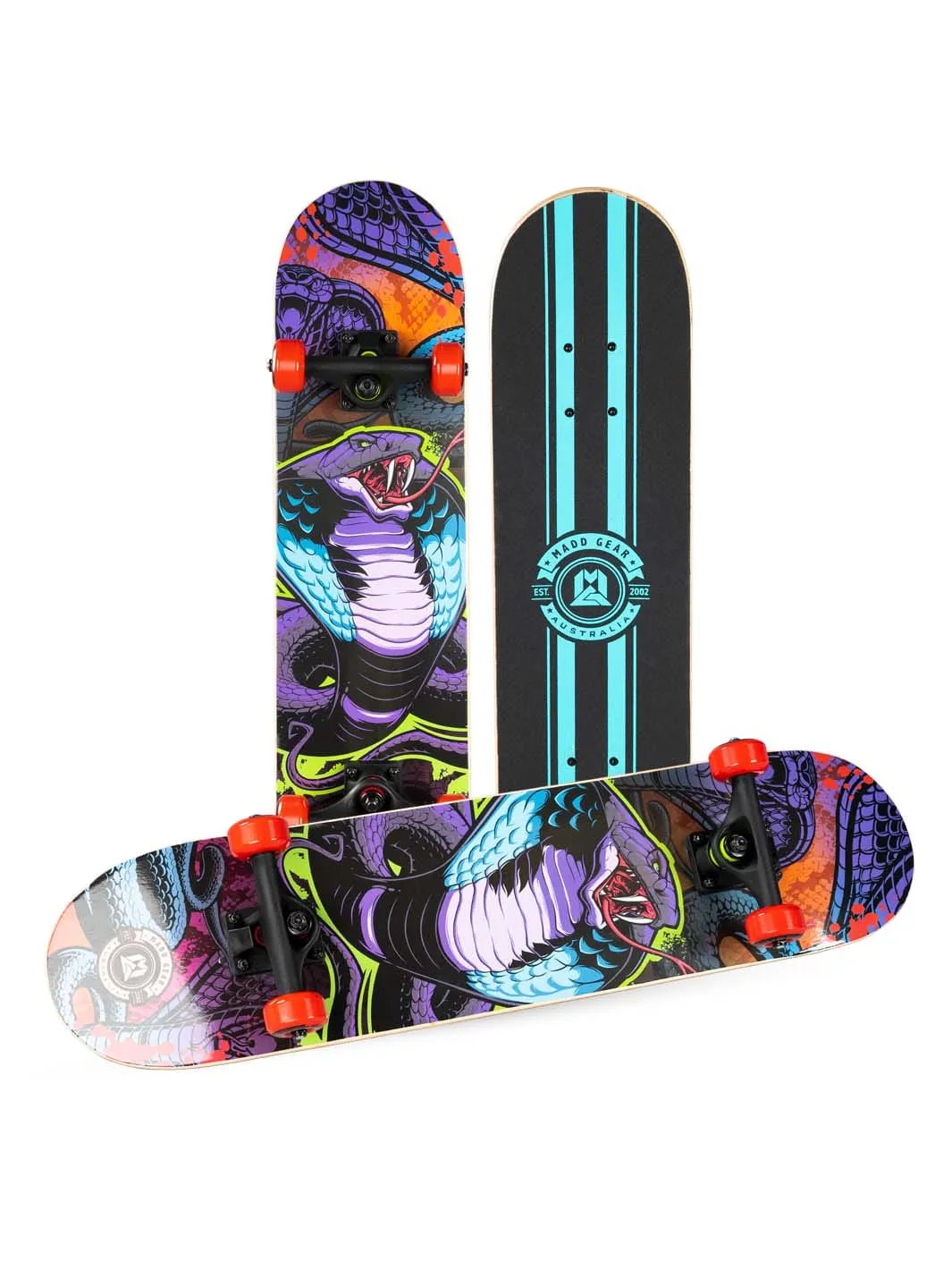 Madd Gear LTR Zootoxin skateboard 31 tum nybörjar