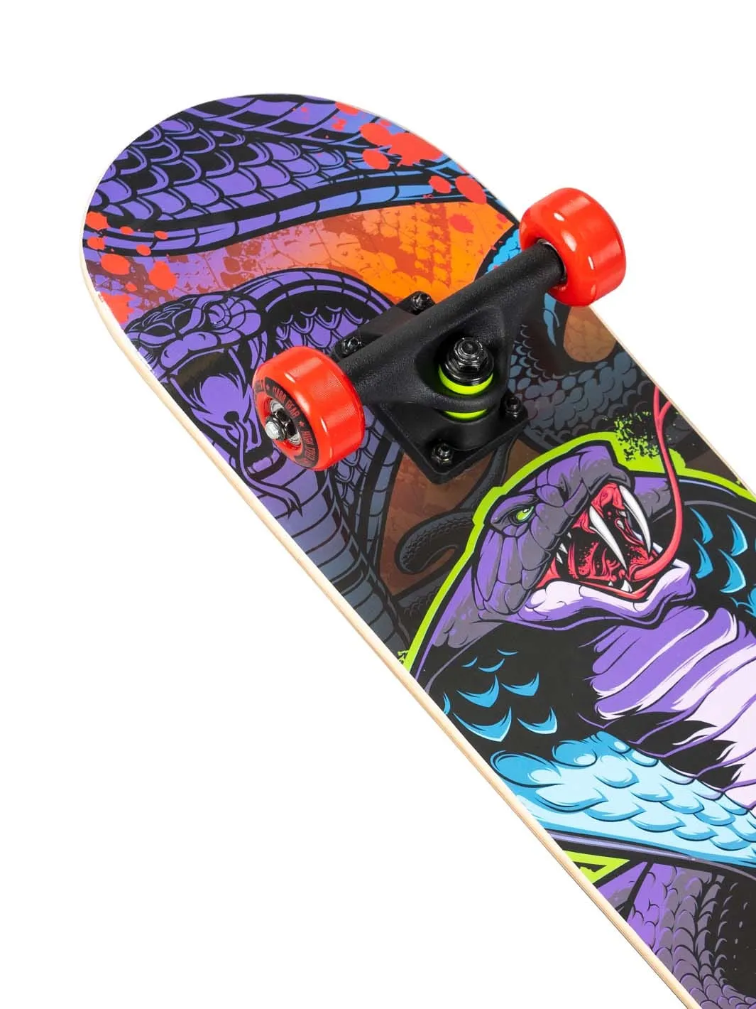 Madd Gear LTR Zootoxin skateboard 31 tum nybörjar