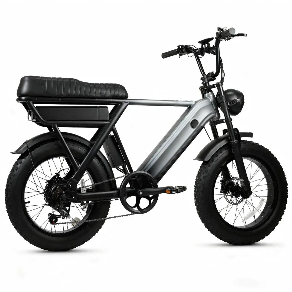 AOVO Y20 Pro fatbike elcykel svart dubbelbatteri