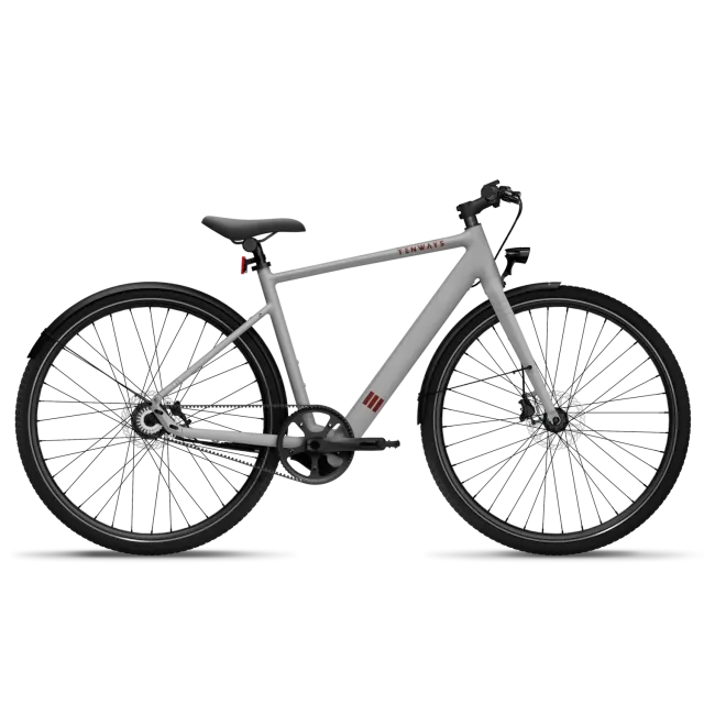 Tenways CGO600-A elcykel Ljusgrå XL remdrift