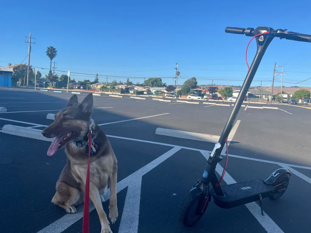 Hiboy KS4 Pro elsparkcykel renoverad
